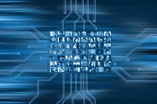 华体会网站-NBA联盟市场营销策略的数字化转型，nba营销策略分析论文