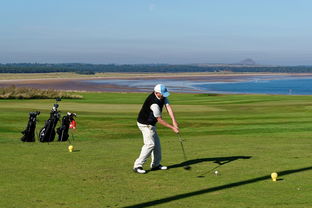 华体会app-全运会男子体操单项决赛精彩纷呈，全运会男子体操单项冠军